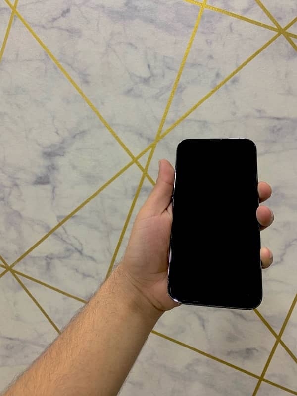 IPhone 13 Pro Max 128 10/10 Health 100 0