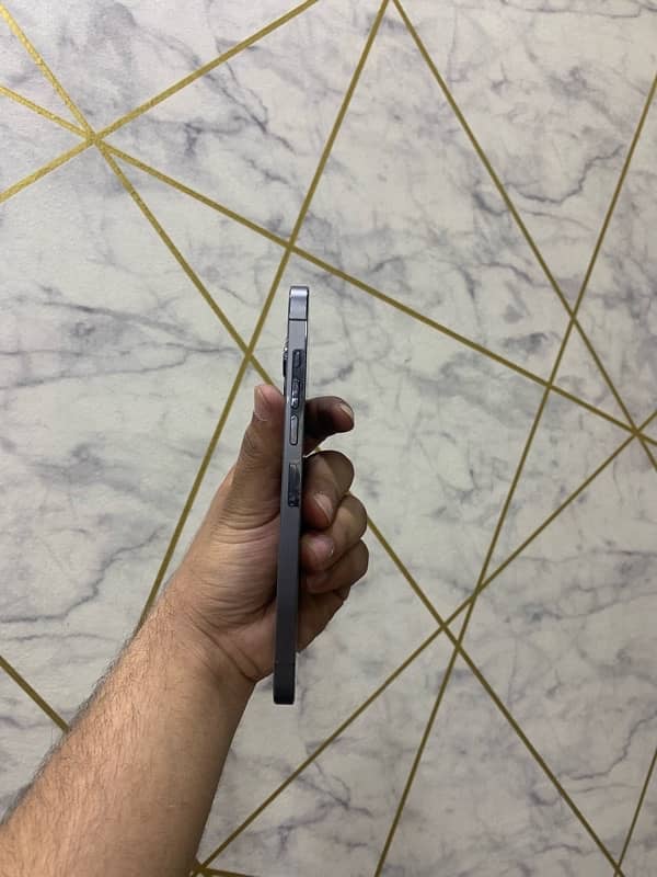 IPhone 13 Pro Max 128 10/10 Health 100 4