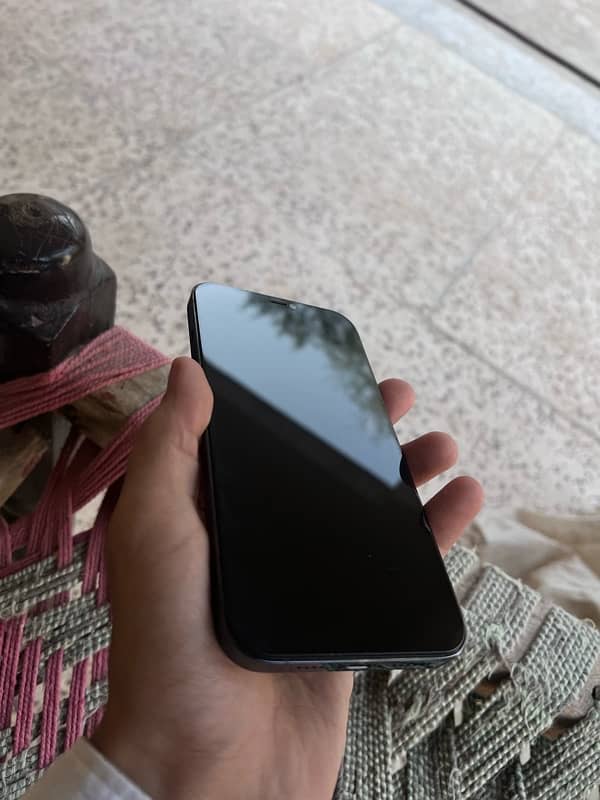 Iphone 12 Pro Max 7