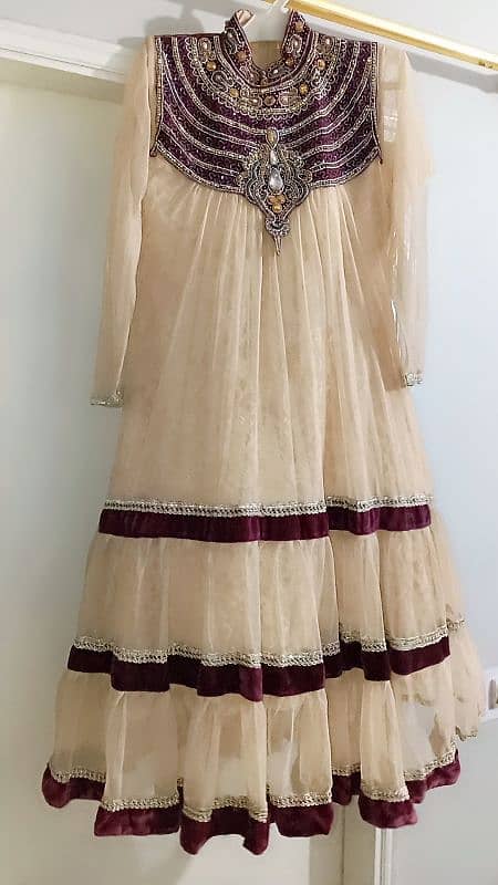 net and velvet frock 2