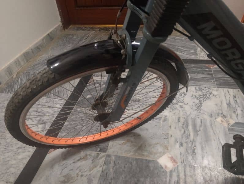 Full Size bicycle 4