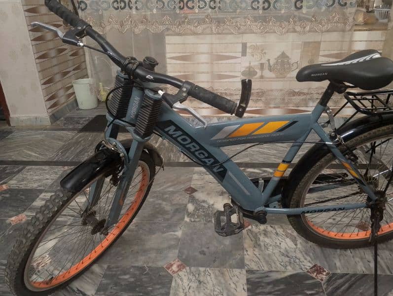 Full Size bicycle 6