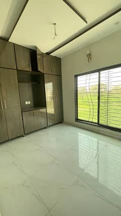 One Bedroom Apartment Is Up On Rent