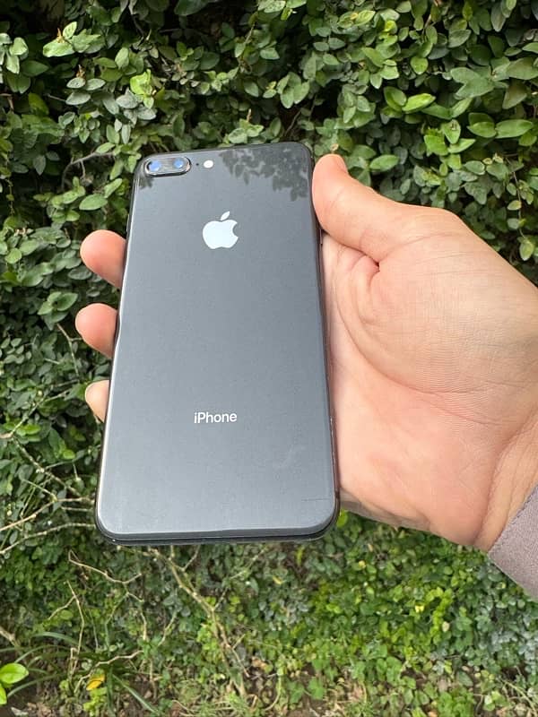 03308234234 0