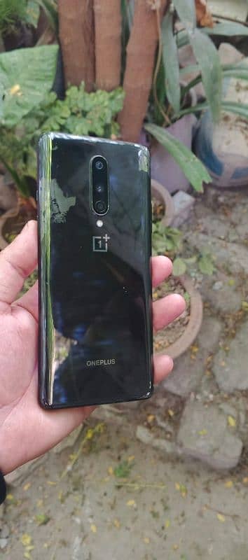 one plus 8 8