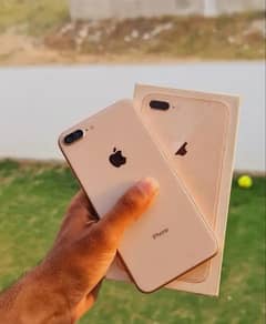 I phone 8 PlUS (PTA Proved) Exellent Condition ( Exchange Possible)