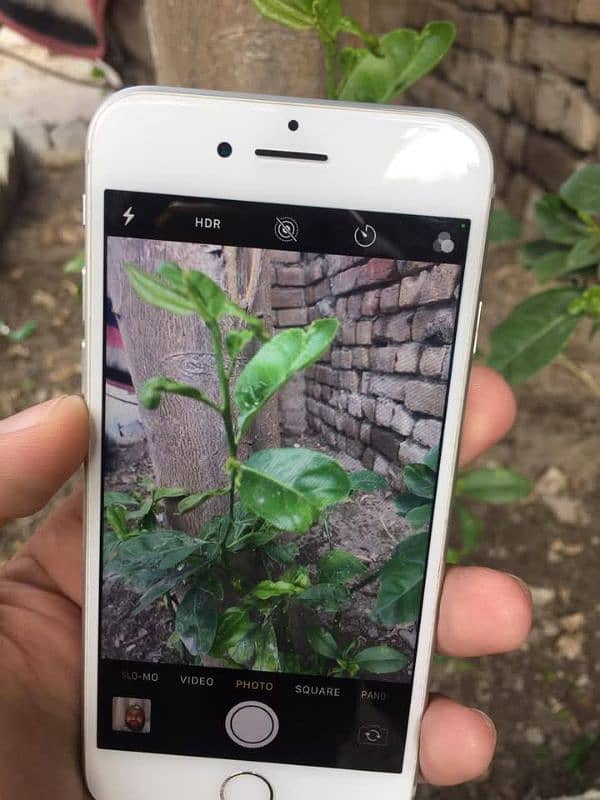 iPhone 7 JV 32GB 10/10 Condetion 7