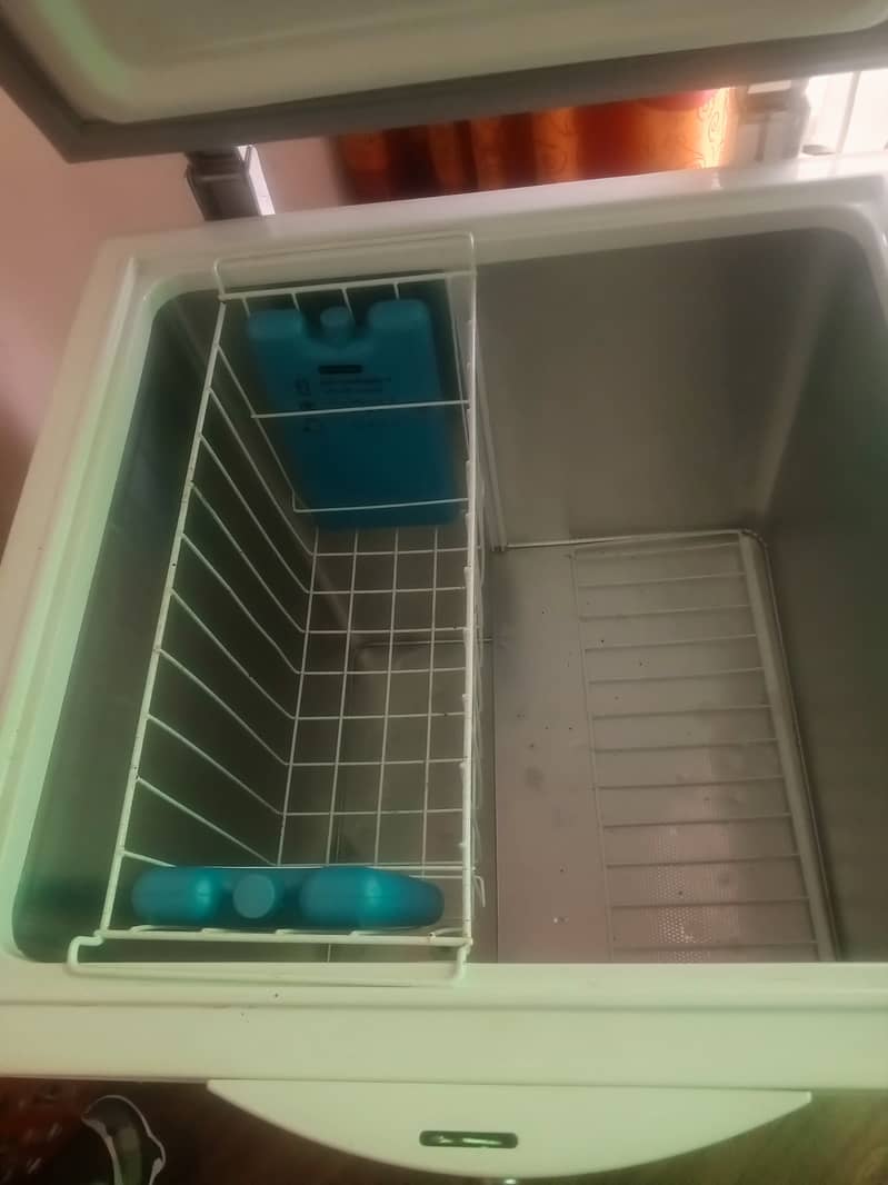 Freezer. Just 1 season used. Like bilkul new 1