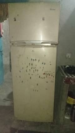 refrigerator