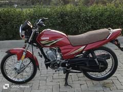 Yamaha