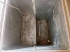 double door  freezer