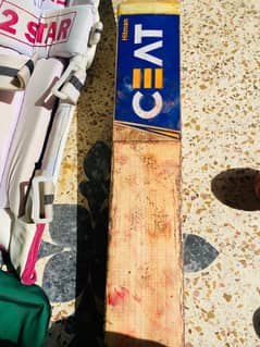 Cricket