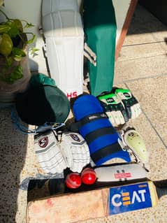 Cricket