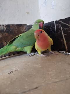 green