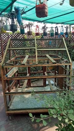 Birds cage