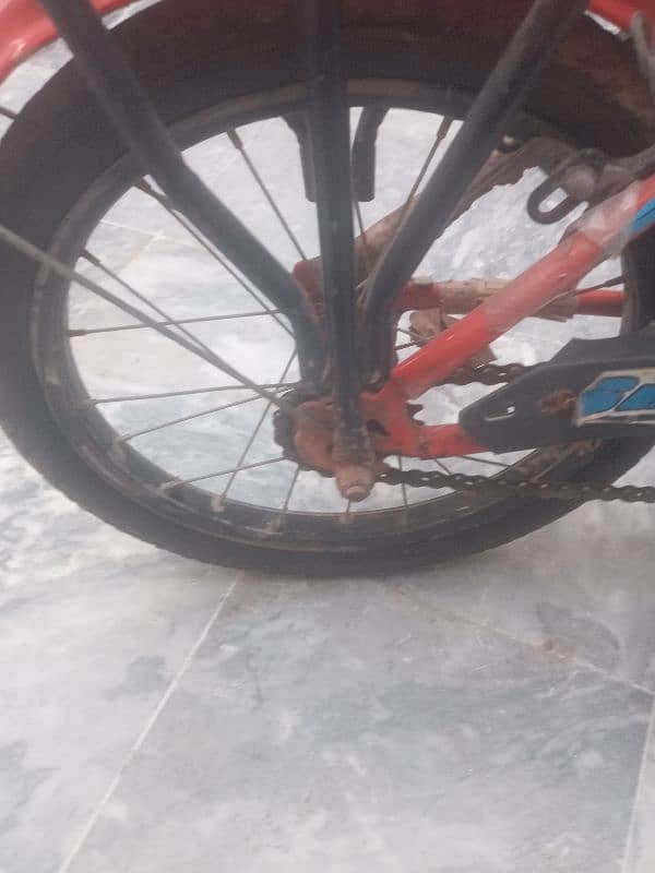 cycle 5