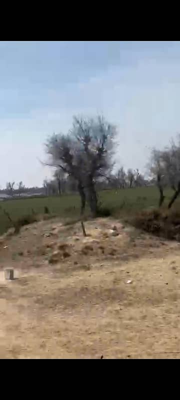 100 Kanal (12.5 Acre) Agriculture land available for sale Inteqaal available at very good location near Ada Subeel on Hasil Pur Road, Hasil Pur 1