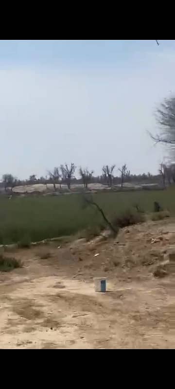 100 Kanal (12.5 Acre) Agriculture land available for sale Inteqaal available at very good location near Ada Subeel on Hasil Pur Road, Hasil Pur 2