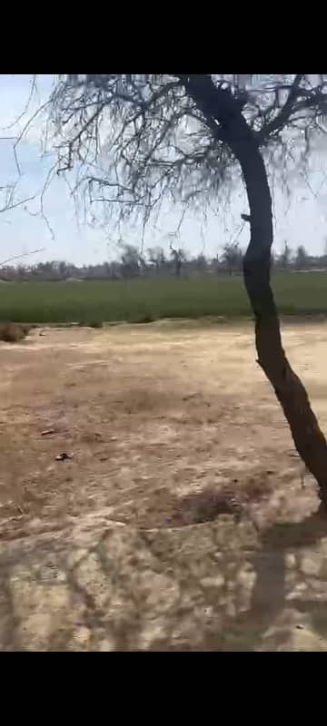 100 Kanal (12.5 Acre) Agriculture land available for sale Inteqaal available at very good location near Ada Subeel on Hasil Pur Road, Hasil Pur 6