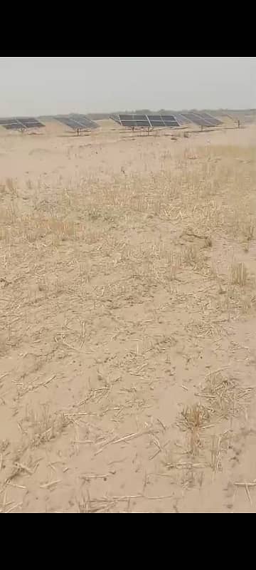 100 Kanal (12.5 Acre) Agriculture land available for sale Inteqaal available at very good location near Ada Subeel on Hasil Pur Road, Hasil Pur 7