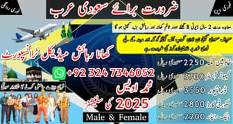 Driver jobs , Rider Jobs , Company Work permit Visa , Jobs in saudia