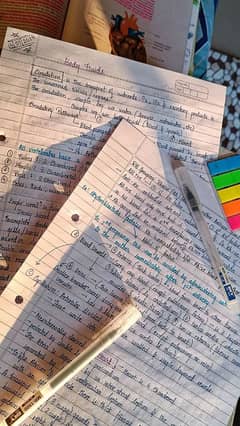 content writing