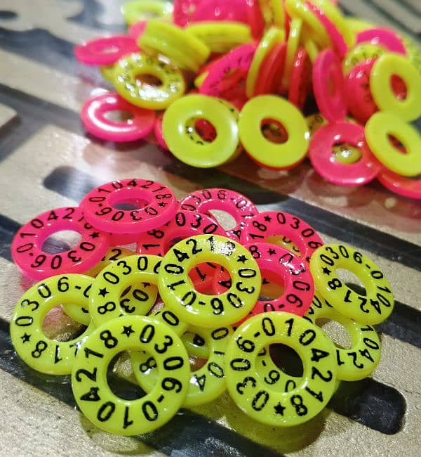 Silicone Rubber Pigeon Rings Printed with Name and Phone Number. 8