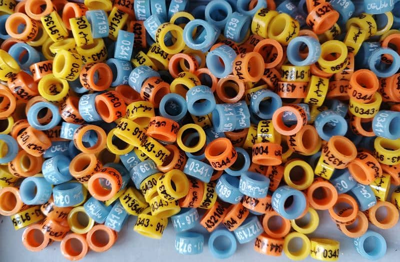 Silicone Rubber Pigeon Rings Printed with Name and Phone Number. 11