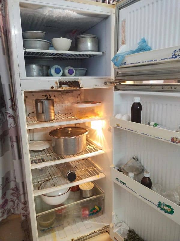 pel refrigerator 1