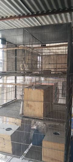 10 Portion Cage For Sale