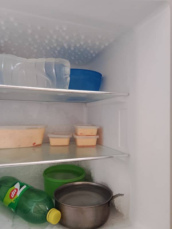 Haier Refrigerator 3