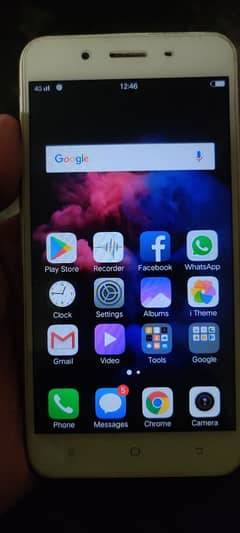 Vivo