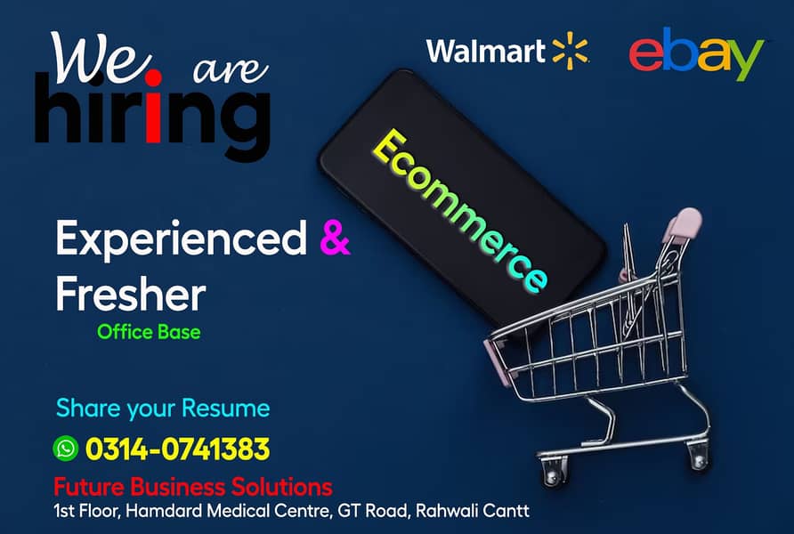 Ecommerce Walmart and Ebay 0