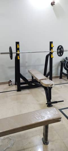BENCH PRESS / HOMEGYM / TREADMILL / DUMBELLS / PLATES /RODS/ SPIN BIKE