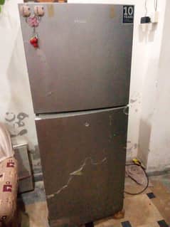 fridge Medium size