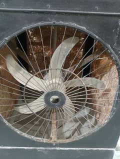 Air