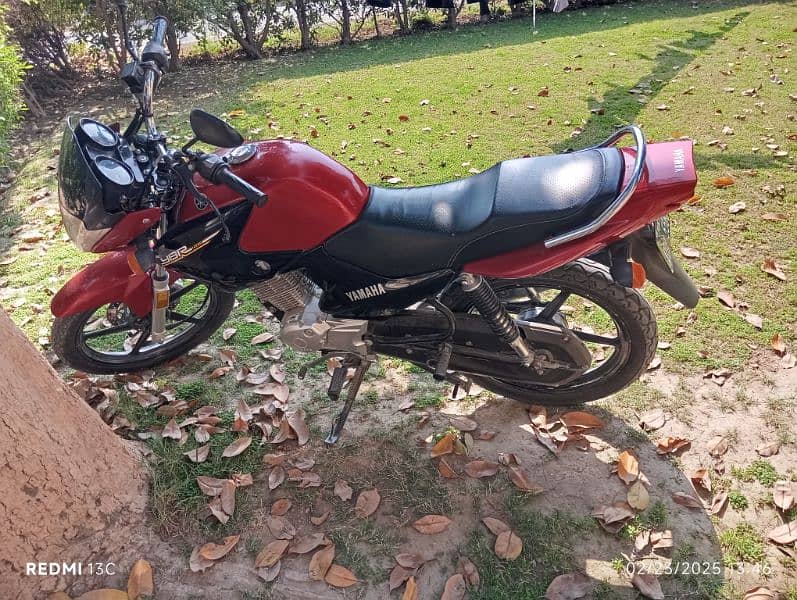 YBR 125 0