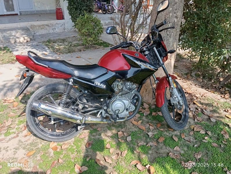YBR 125 1
