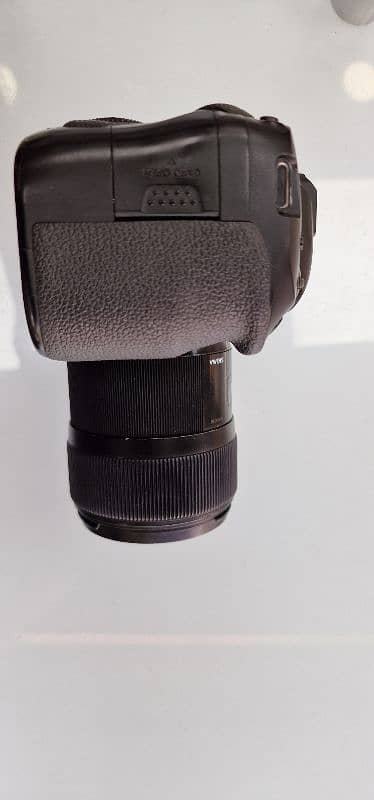Canon 6D Mark II With 35mm 1.4 4