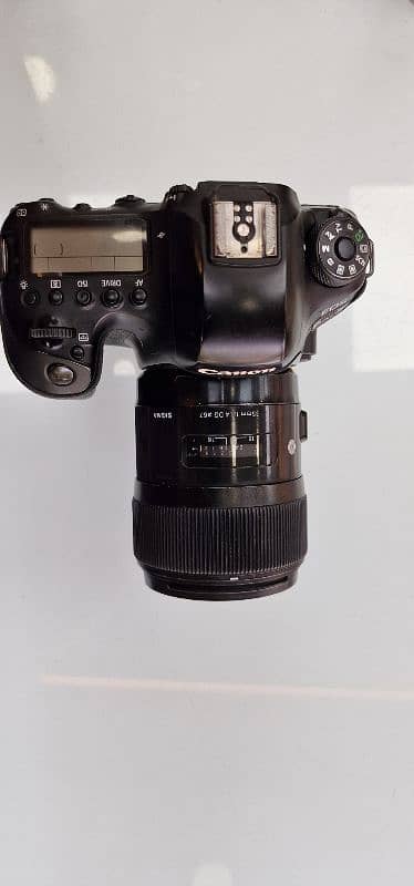Canon 6D Mark II With 35mm 1.4 5