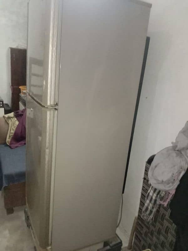 frige 2