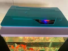 Fish Aquarium with Gold Fish
