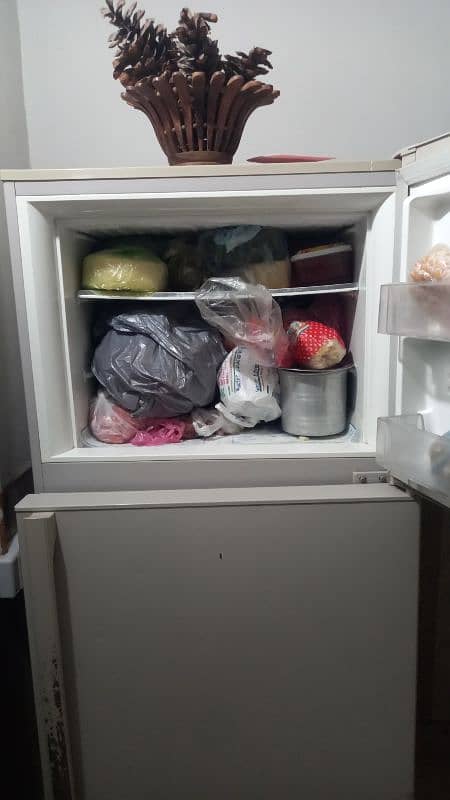 Pel refrigerator for sale 2