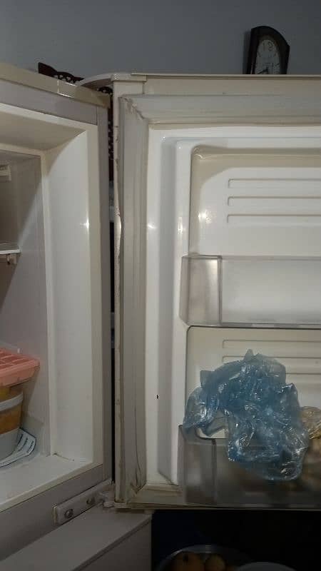 Pel refrigerator for sale 6