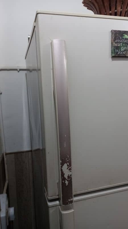 Pel refrigerator for sale 16
