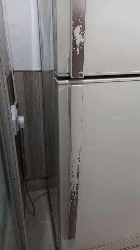 Pel refrigerator for sale 18