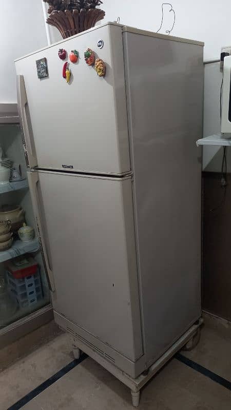 Pel refrigerator for sale 19
