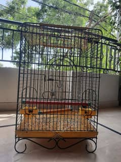 parrot cage