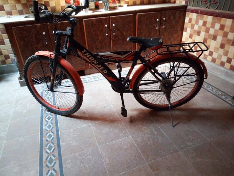 Thunder bicycle 0