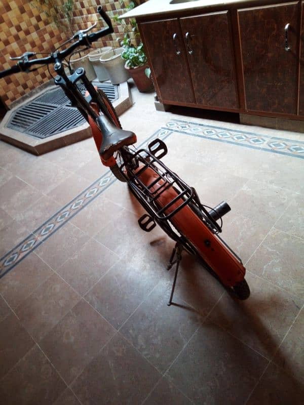 Thunder bicycle 1